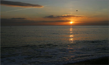 evening-flight