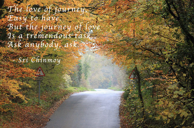 love-journey-640-card