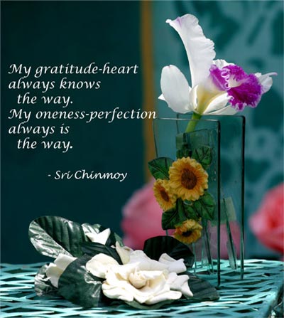 my-gratitude-heart