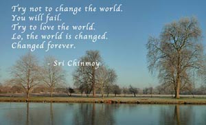 try-not-to-change-the-world