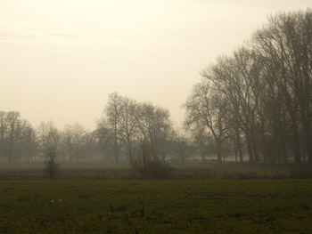 christ Church Meadow