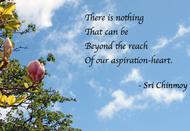 reach-of-aspiration-heart