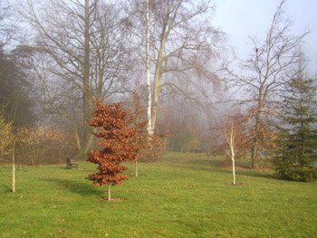 Univ-gardens-winter